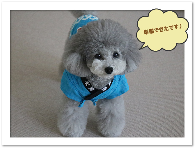 お祭りだ〜♪♪