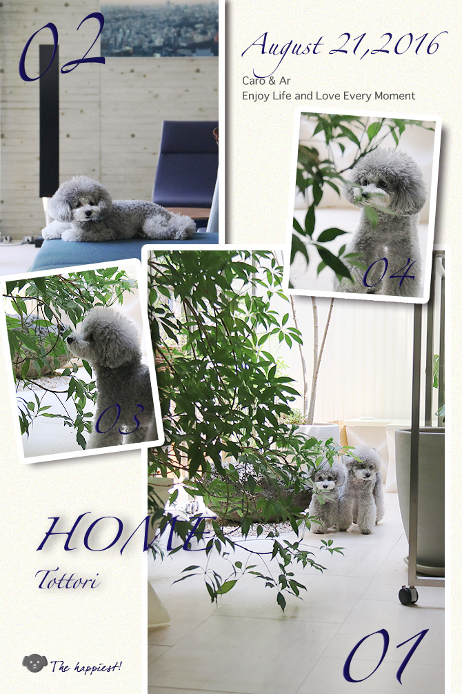 夏バテ大丈夫？