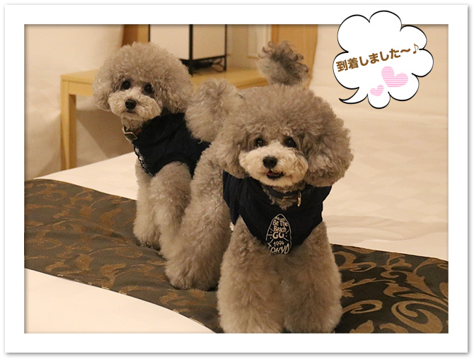 ビワドッグ ♪・・・Dinner