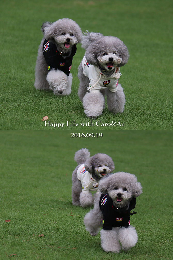 ビワドッグ ♪・・・Dog run編