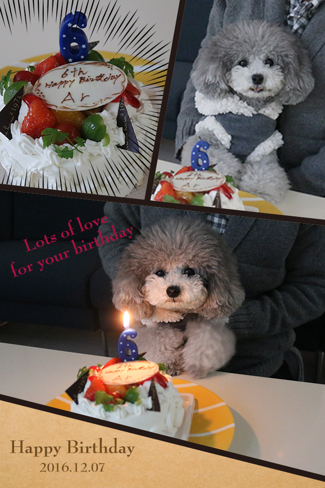 アルお誕生日おめでとう♪
