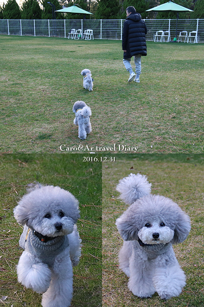 2016年ラストラン！！