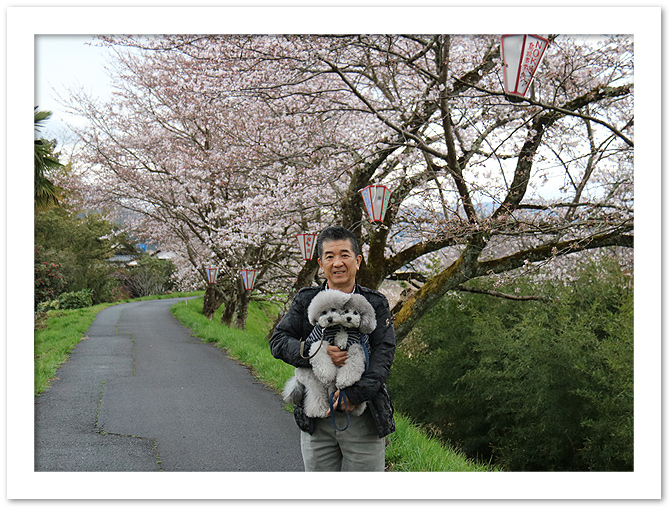 弾丸お花見・・・ちょっとその前に♪