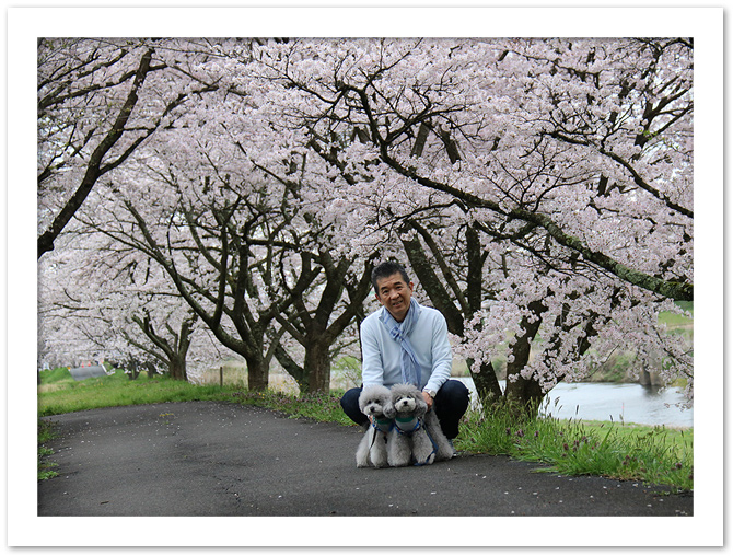 弾丸お花見本番・・・三刀屋川河川敷編つづき