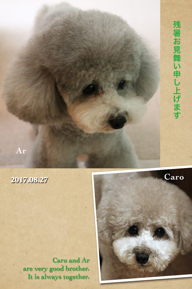 毎日暑いでっすぅ〜！