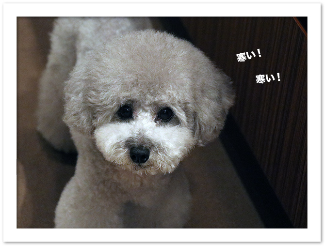 寒〜い！