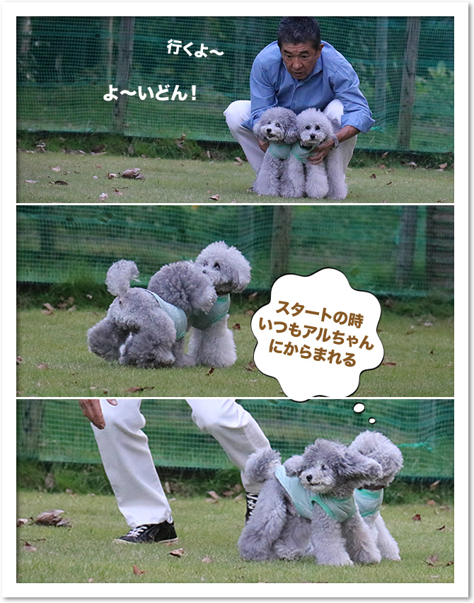 ドッグラン大〜好き！