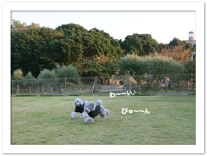 淡路島旅行・・・②