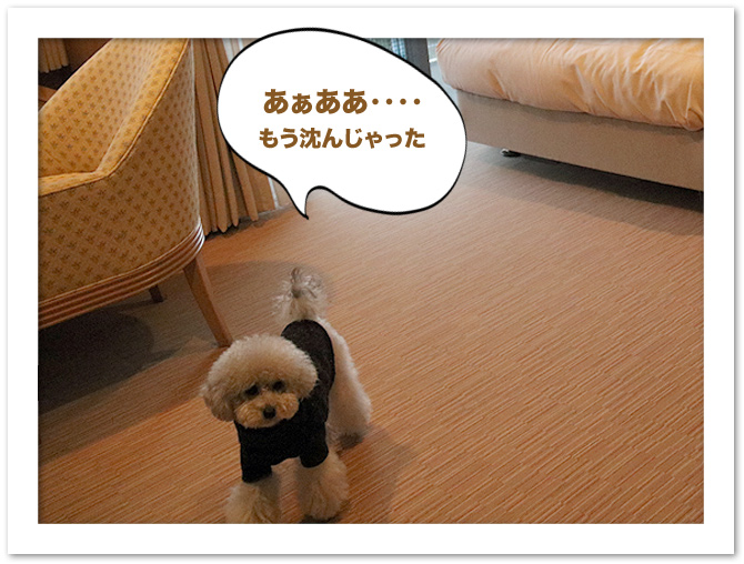 淡路島旅行・・・③