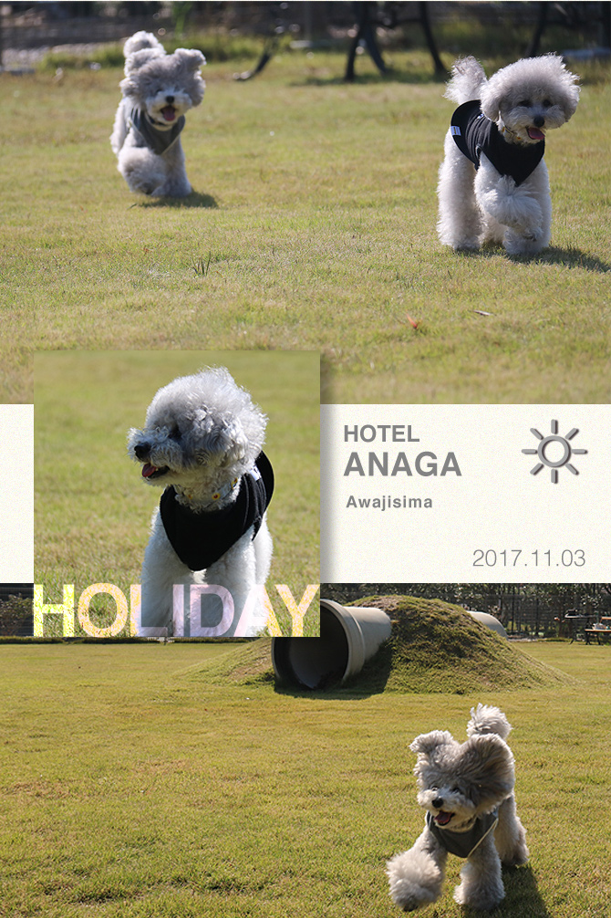 淡路島旅行・・・⑤