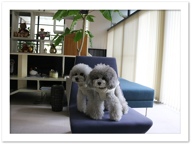 お誕生日プレゼント♪