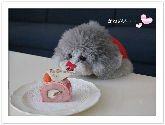 アル、お誕生日おめでとう♪