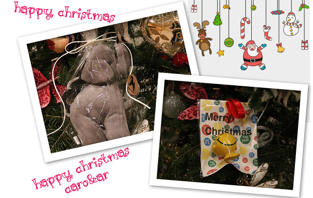 クリスマス♪♪