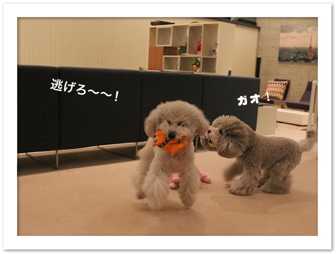 お家でバトル！