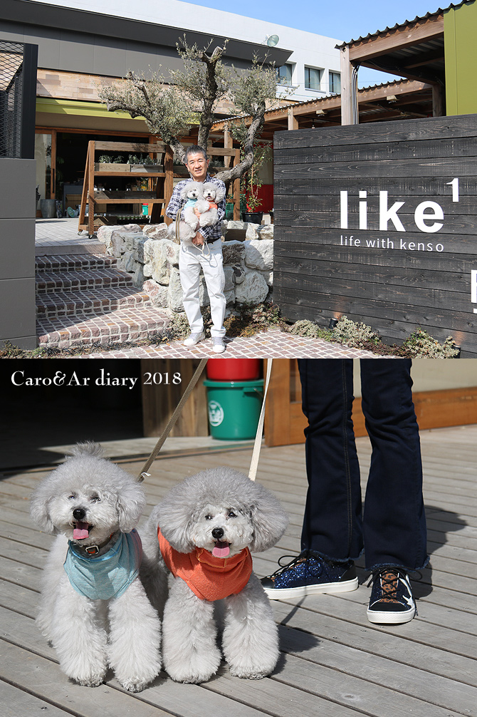 久しぶりのお出かけ♪