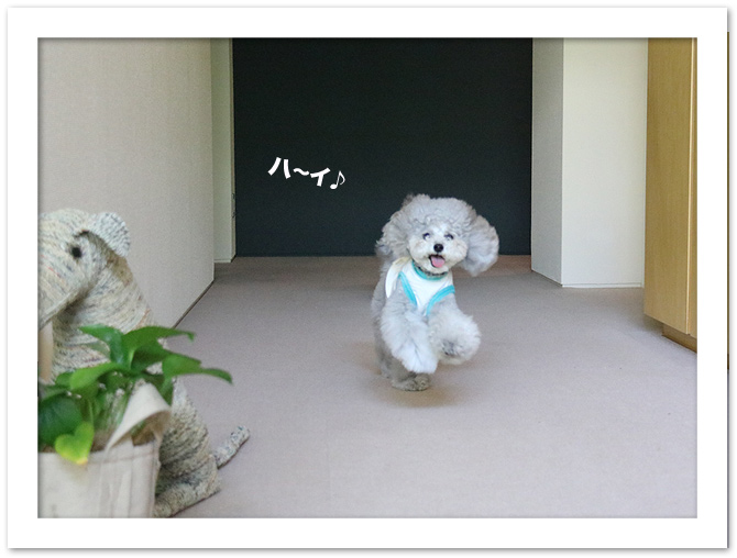 GWスタート♪♪