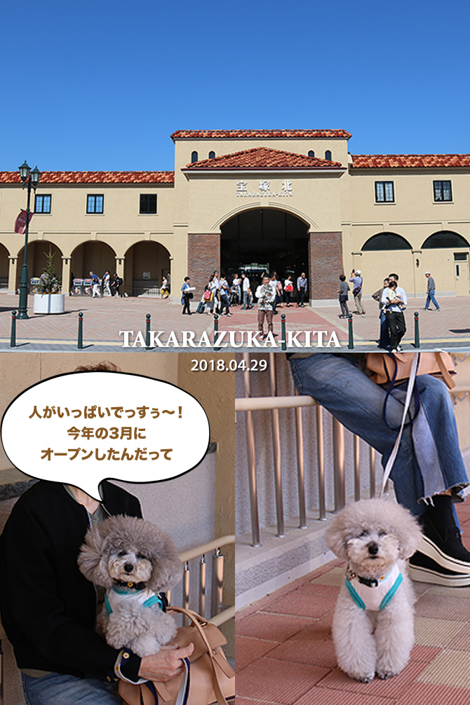 「HOTEL Biwa DOG」へ出発〜♪