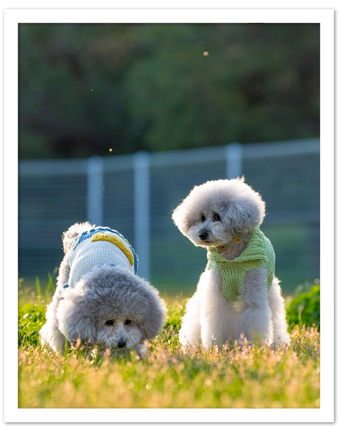 お写真届いたでっす♪