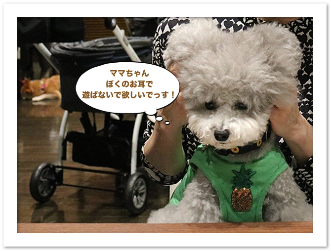 絶景の後は・・・♪