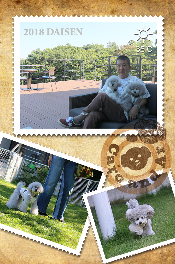 楽しかったよ〜 ! !