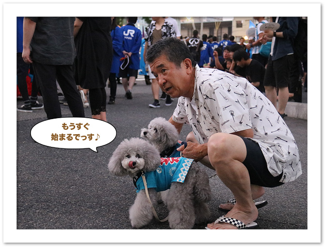 米子がいな祭♪