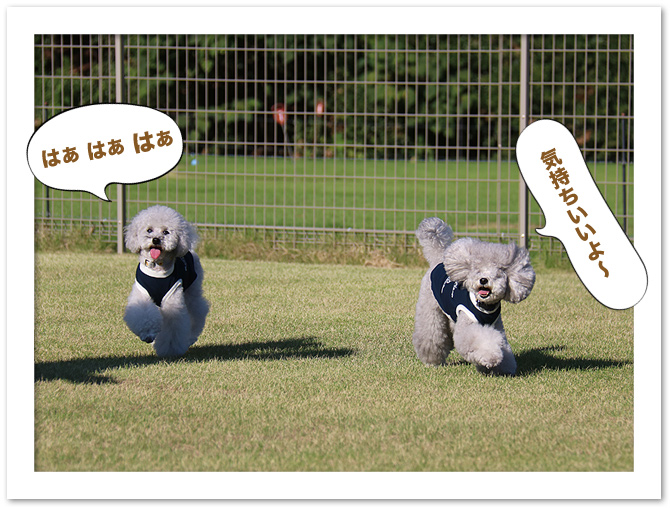 淡路島旅行・・・②