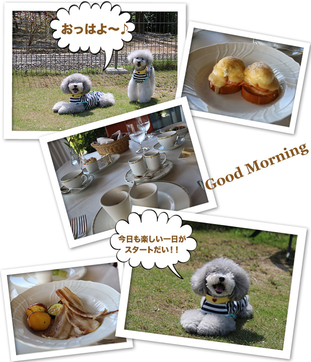 淡路島二日目♪